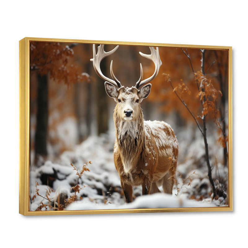 Deer Graceful Deer sur toile, Cadre flottant doré, H 30 po x l 40 po x P 1,5 po