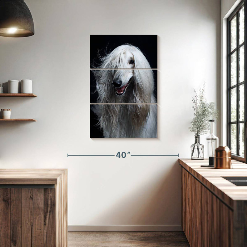 Brampt Long Haired Afghan Hound, 38" H x 24" W