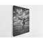 Impression sur toile Texas Longhorn - décoration murale Western Ranch - reproduction de photographie en noir et blanc-1934330508
