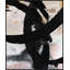 Softness-719585576-719585579-719585578