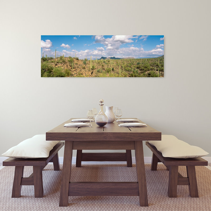 Saguaro National Park, Tucson, Az, États-Unis, H 16 po x l 48 po