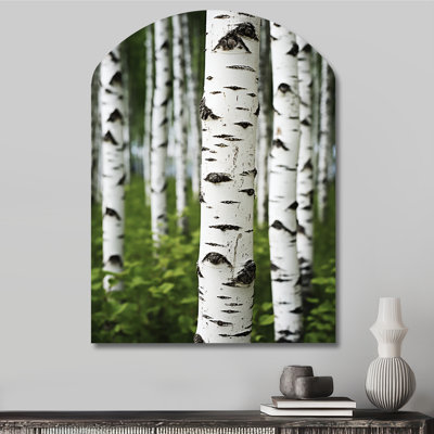 «White Green Birch Tree Whispers III», impression murale de sculpture en métal de bouleau asymétrique