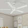 60'' 5-Blade LED Smart Standard Ceiling Fan With Light Kit Included, Remote Control 