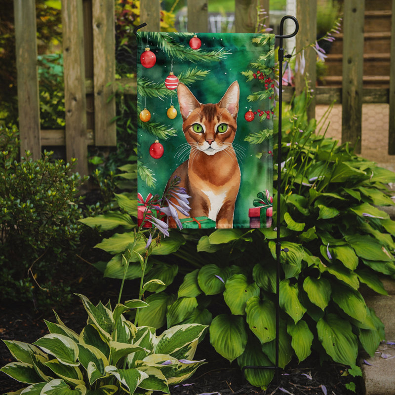 Drapeau de jardin Pixie Bob, Abyssinien