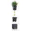 Planter Box-26992042-26992046