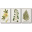 Ensemble de 3 pièces encadrées sur toile Nature-97709354-97709355
