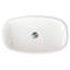 Regatta 24.5'' L Bathroom Sink