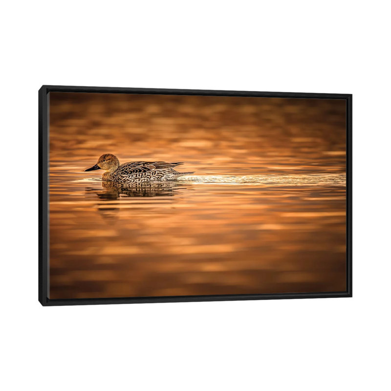 Canard sur l’étang doré, H 18 po x l 26 po x P 1,5 po, Toile avec cadre noir, Pas de tapis