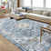 Shiann Washable Oriental Indoor Rug