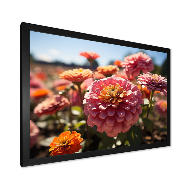 «Colorful Zinnias Field At Sunrise III», reproduction d'art sur toile, H 16 po x l 32 po x P 1 po, Noir