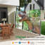 Auvent latéral rétractable manuel 71 "x138" avec impression, Upf50 +, gris, eau, idéal pour le jardin et l'extérieur, bloquant, soleil et vent, créant un espace privé, design américain, fixation murale,