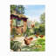 Toile d'extérieur «Chicken And Hens» The Macneil Studio-87946078