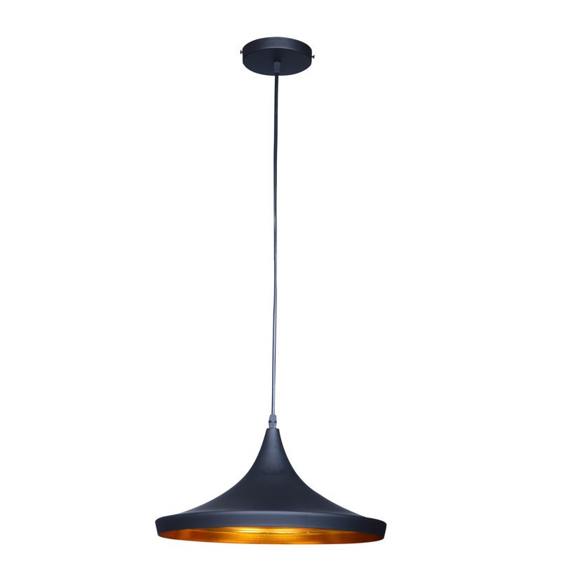 Roberson 1 - Light Single Pendant, Black / Gold