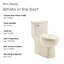 Toilette une pièce Classe-63694535-44637969