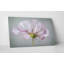 Motif floral texturé - impression sur toile-1120984988-1120984981
