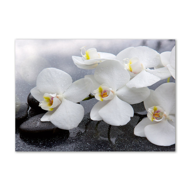Orchid - Wrapped Canvas Print