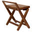 Spa Mantis 20" W Teak Shower Bench