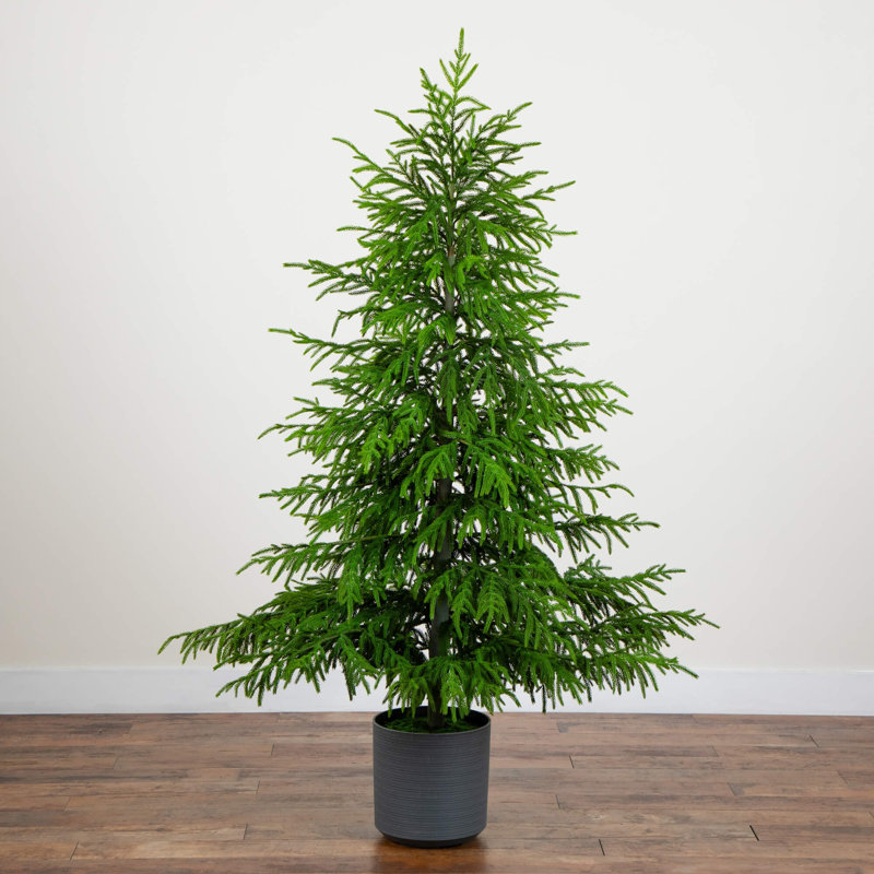 Arbre de Noël Real Touch Norfolk Island, H 6 po x l 40 po x P 11 po