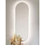 Delmarie Metal Oval Mirror
