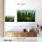 Alvord Lush Green Pine Trees-106810657