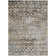 Machine Washable Indoor/Outdoor Claudian ACN1638 Brown Rug