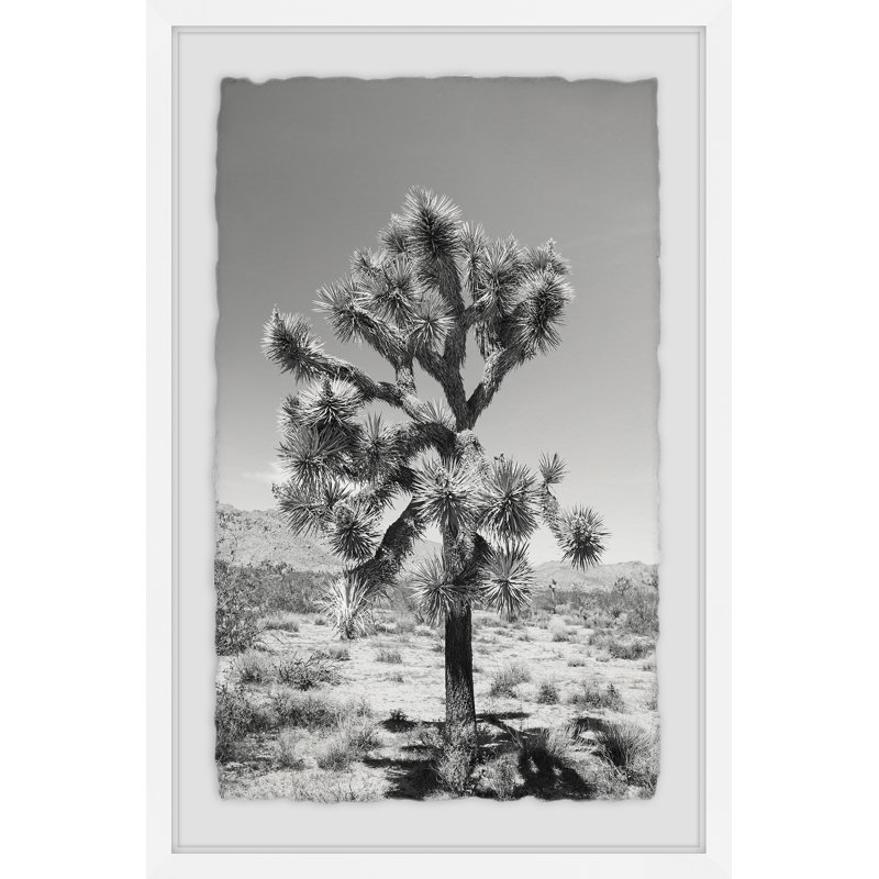 Joshua Tree II 1 Piece Single Picture Frame Wall Art, 45cm H x 30cm W