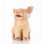 Sitting Pig with Wings Statue