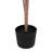 Potted Lilac - Medium-585175523