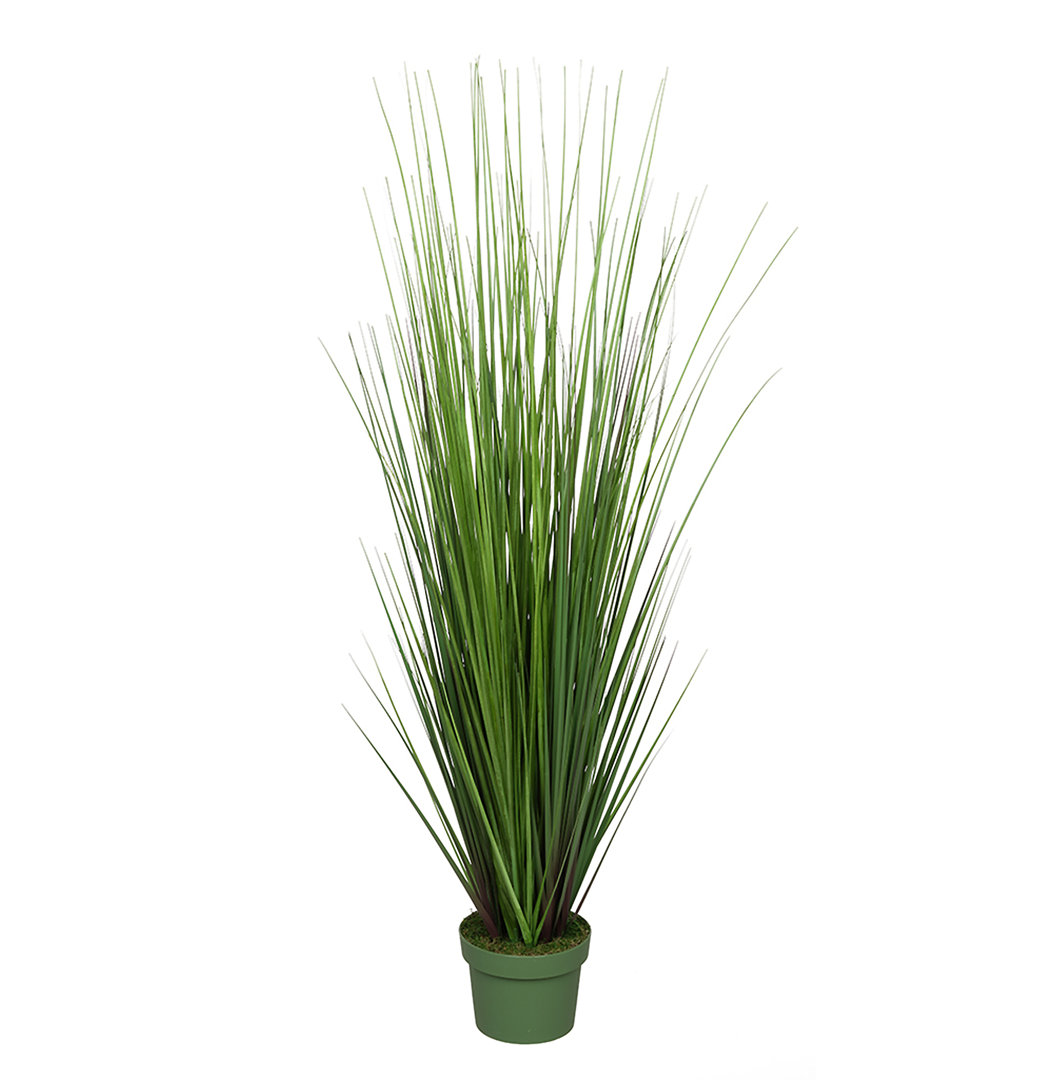 Artificial Onion Grass in Pot Liner Longshore Tides