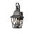 Outdoor Waterproof Wall Light with Clear Glass Shade