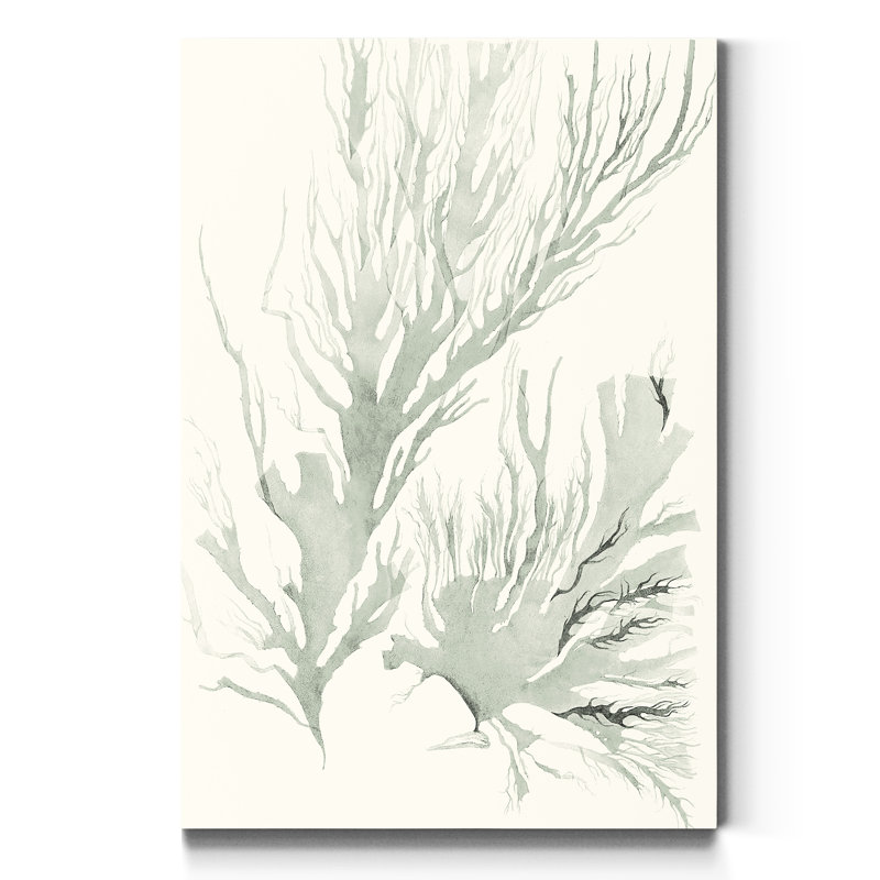 « Sauge Green algue IV », reproduction d’art sur toile tendue, H 20 po x l 16 po x P 1 po