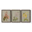 Botanical Array I - ensemble de 3 peintures sur toile encadrées-1480606618-1480606616