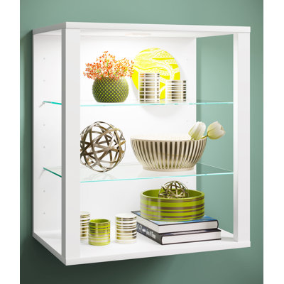 Perrusquia Display Cabinet
