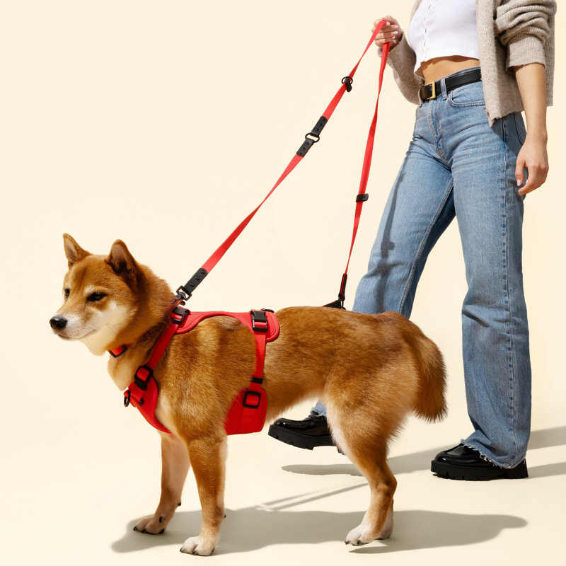 Harnais pour animal de compagnie Arlo, Rouge
