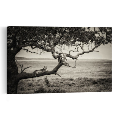 Lioness On Tree Branch Classic Serene Abstract Cat Lion Landscape Nature Wall Art Print 1 Piece Wrapped Canvas Wall Art