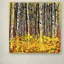 «Fall Aspens» par Roderick Stevens - reproduction d'art sur toile tendue-685499094