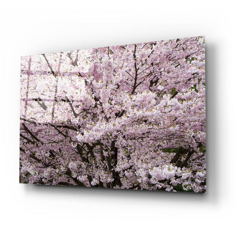 «Stanley Park Cherry Tree Blossoms» par Richard Wong, art mural en verre acrylique, H 16 po x l 24 po x P 0,2 po