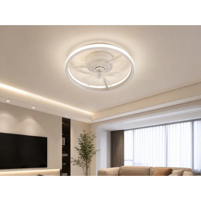 Ceiling Fan