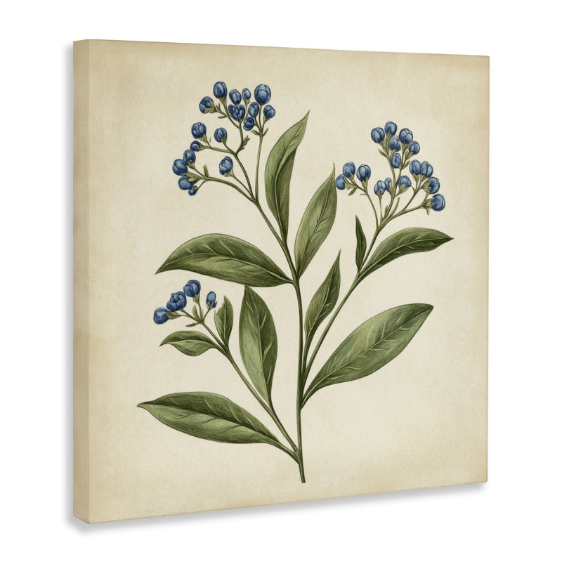 Buds Botanical Illustration, par Petal Prints Design, H 17 po x l 17 po