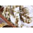 Throw Blanket-535919130