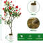 Plant-1380877551