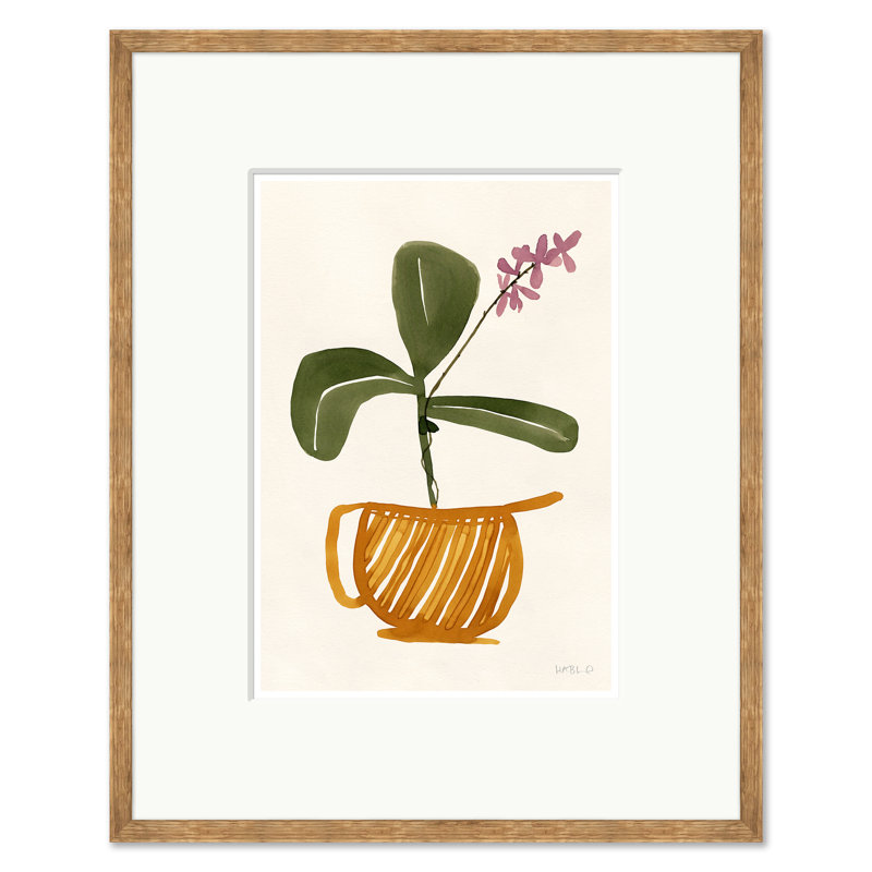 Cattleya Print by Susan Hable Soicher Marin