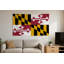 Drapeau de l'État du Maryland — Drapeau