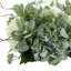 Centre de table avec hortensias, oreille d'agneau et baies