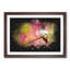 Hummingbird - Single Picture Frame Print on MDF-56866953-56866952
