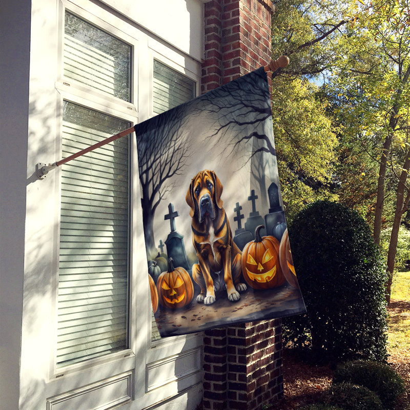 Double Sided 40'' H x 28'' W Polyester Halloween House Flag