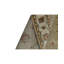 Wool Oriental Area Rug in Tan/Light Blue