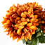 Plastic, Silk Artificial Arrangement-89222312