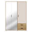 Taymur Manufactured Wood Wardrobe