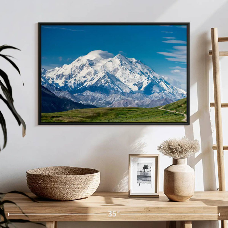Mont McKinley Denali, 25 po x 17 po, Cadre flottant noir